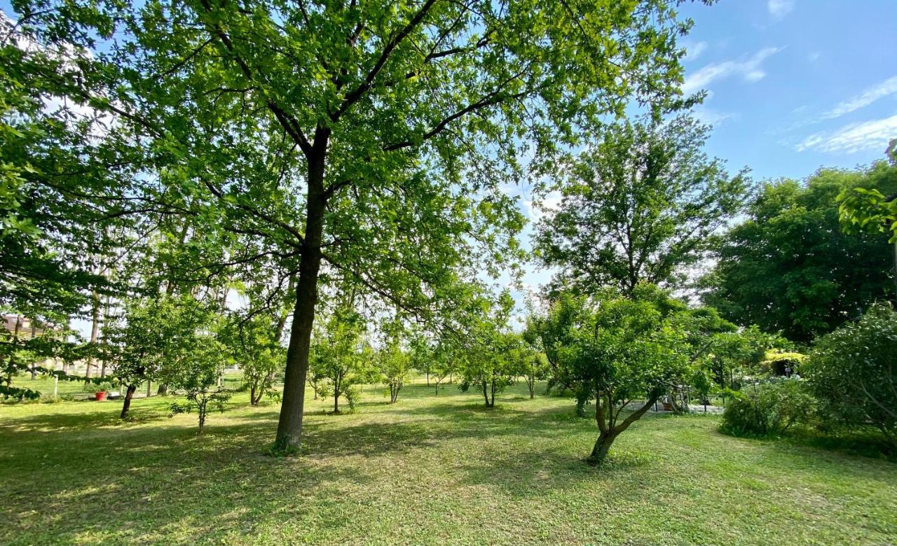 Locanda Del Molino Vecchio Magliano Alfieri Bagian luar foto