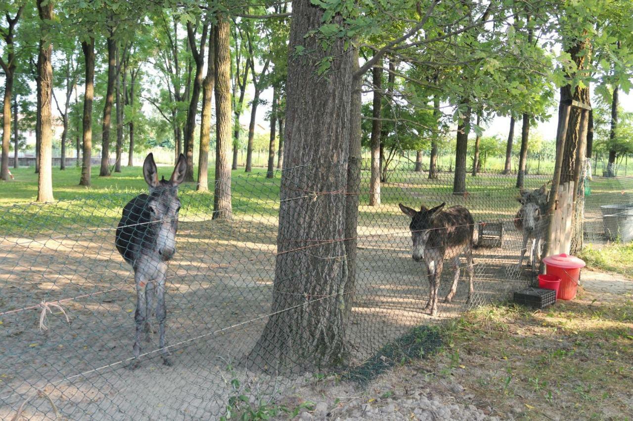 Locanda Del Molino Vecchio Magliano Alfieri Bagian luar foto